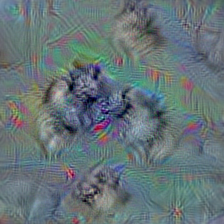 n02112137 chow, chow chow